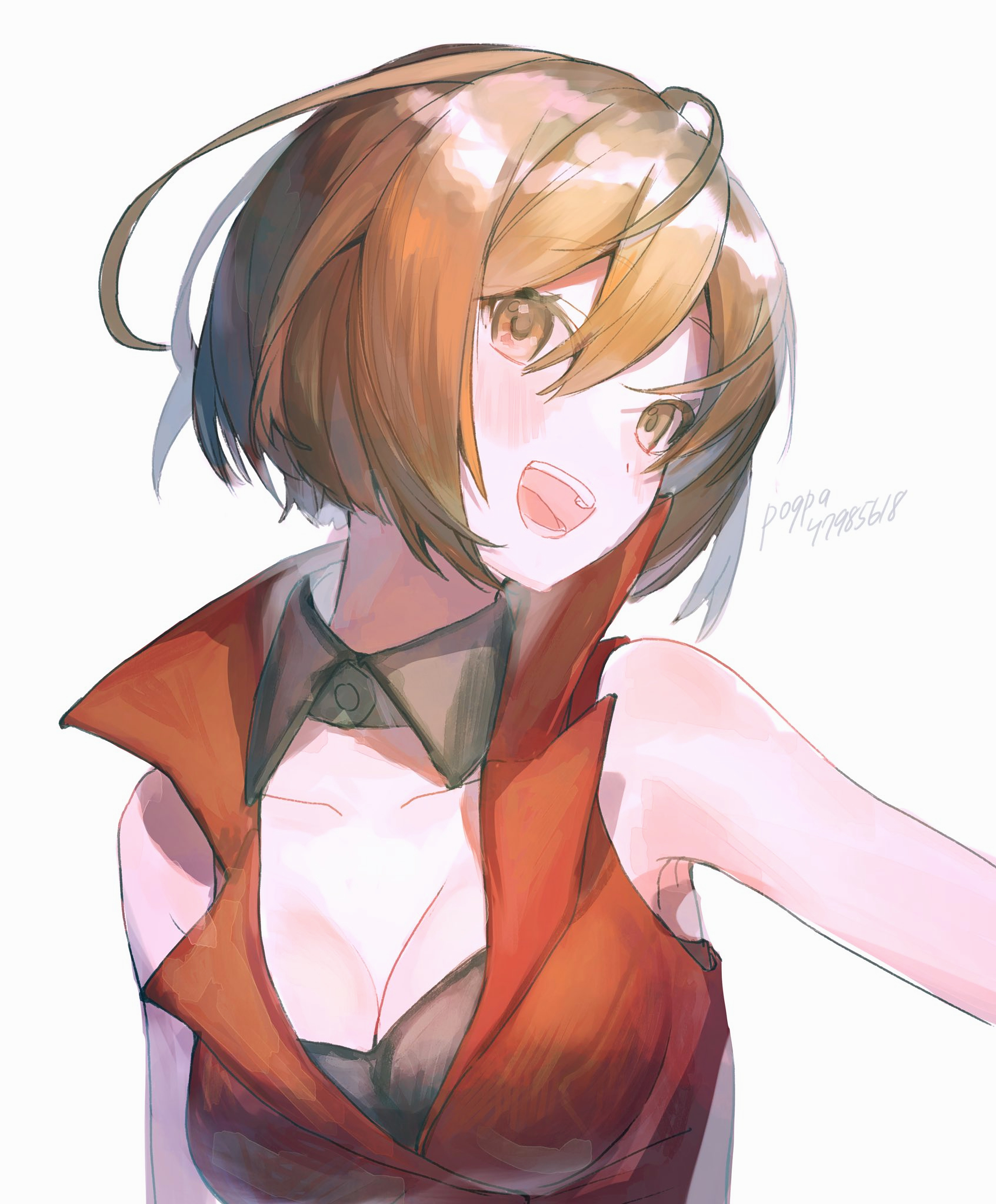 Vocaloid Meiko